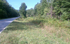 30 acres of land on Gumlog Road in Union County near Young Harris.